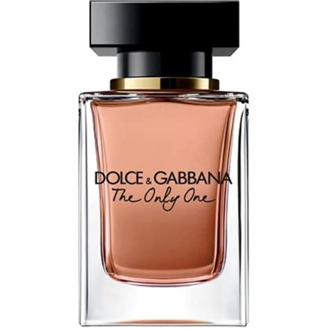 dolce gabbana the only ond|dolce gabbana the one price.